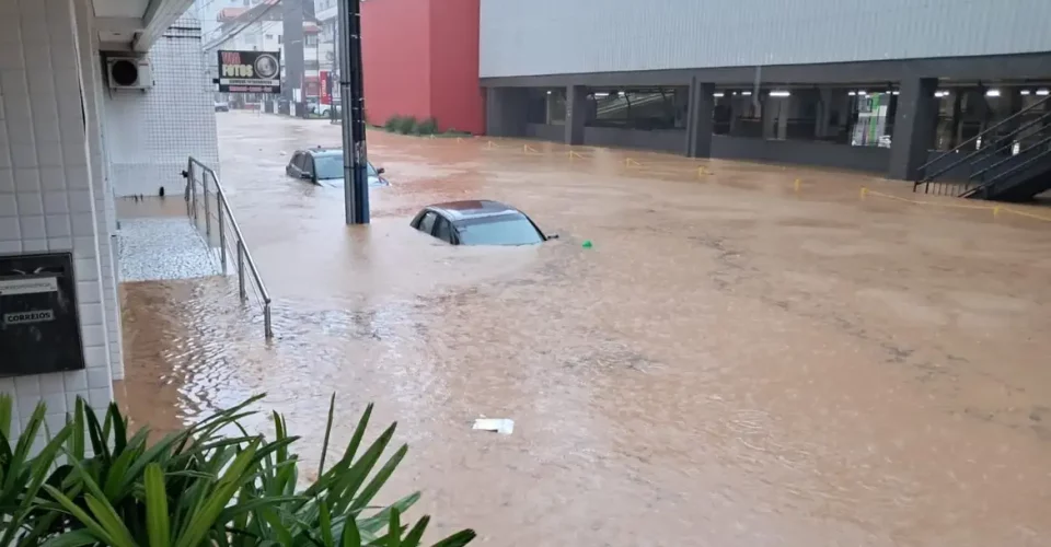 Foto: divulgação/Coredec/Itajaí (SC)
