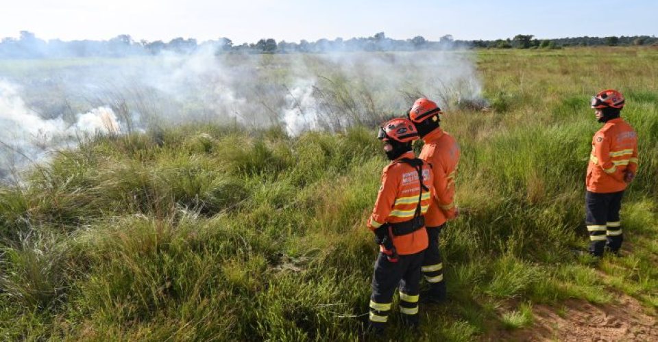 Foto: Ewerton Pereira/Secom