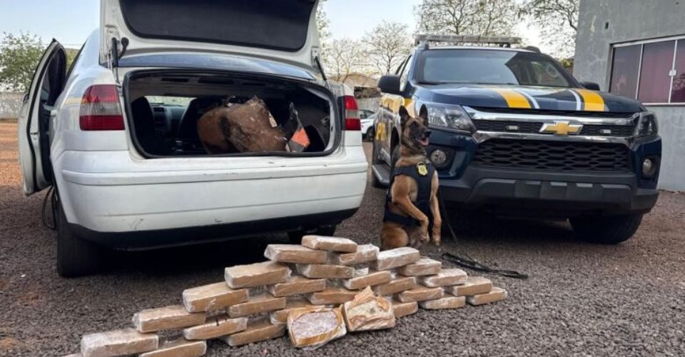 Foto: Reprodção/Dourados News