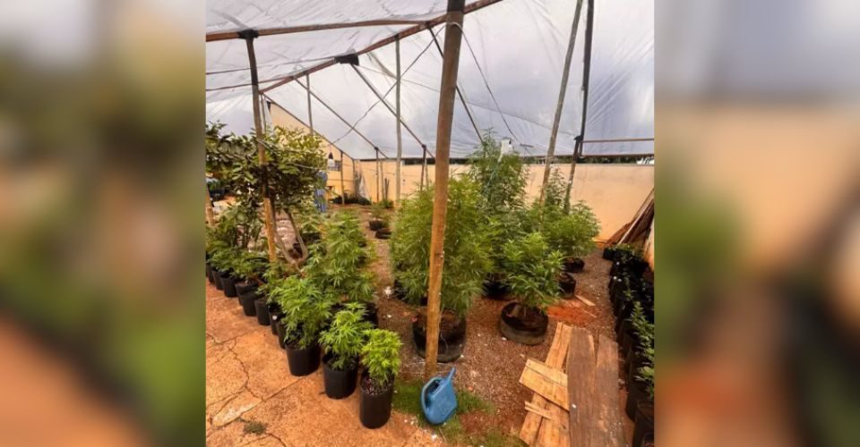 Foto: Reprodução/Choque