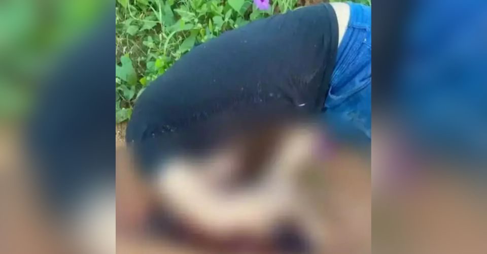 Foto: Reprodução/ Redes Sociais