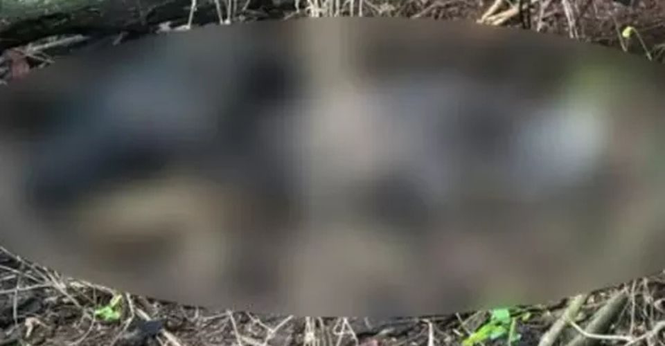 Foto: reprodução/24hNewsMS