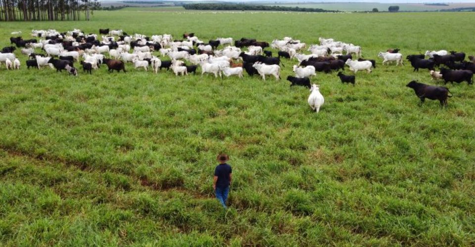 Foto: Bruno Rezende/Secom-MS