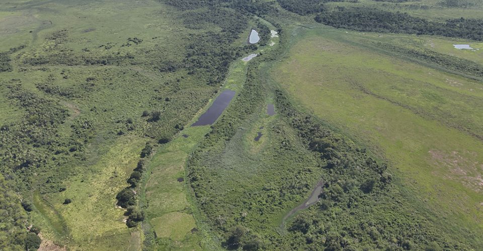 Foto: Divulgação PMC