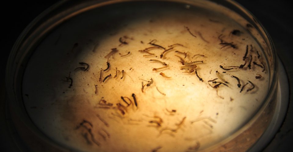 Foto: Arquivo/ O Estado