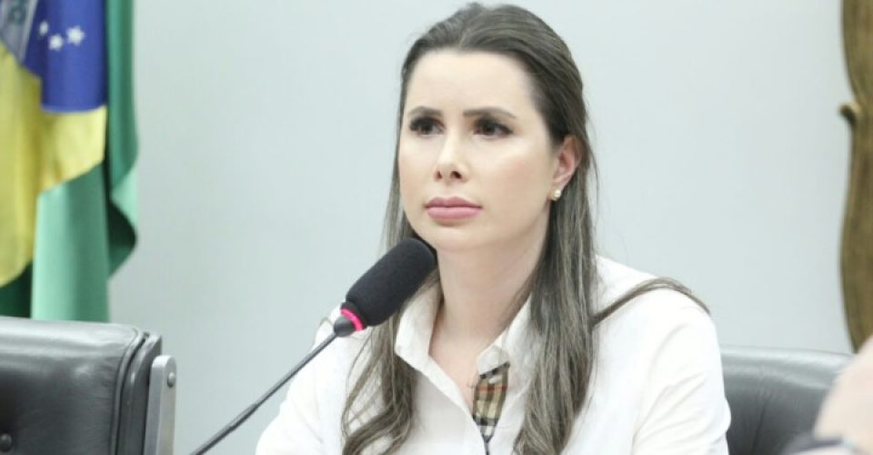 Deputada de SC renunciou cargo de liderança em favor de Eduardo Bolsonaro - Foto: Vinicius Loures/Câmara dos Deputados