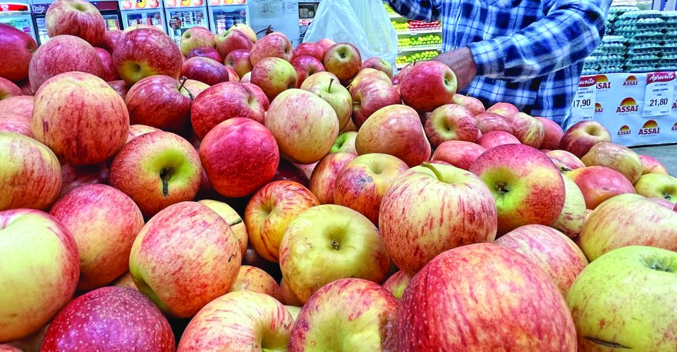 Foto: ROBERTA MARTINS