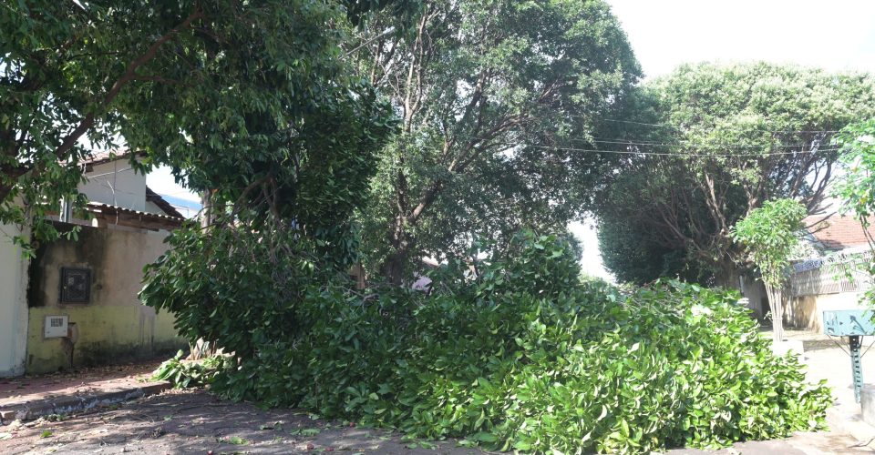 Foto: Nilson Figueiredo