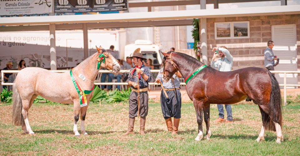 Foto: Kaue Cariolato