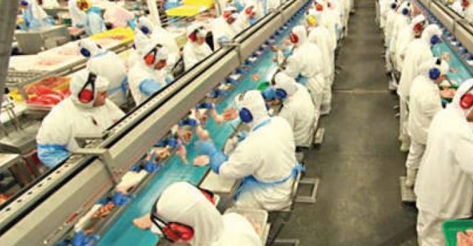 Economista aponta que, mesmo com as quedas mais recentes nas exportações de carne de frango, o Estado está entre os dez maiores exportadores - Foto: reprodução