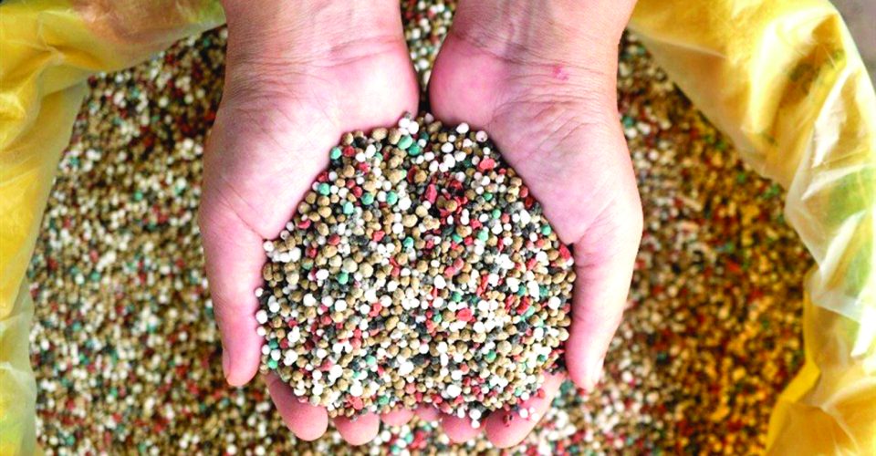 Fertilizante granulado é manipulado para aplicação - Foto: divulgação/Agrolink