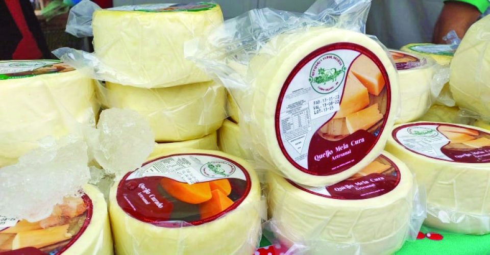 Tradicional evento do Estado, 8ª edição da Festa do Queijo de Rochedinho será realizada dia 10 de maio com oficina, gastronomia e programação cultural - Foto: Secom CG/divulgação