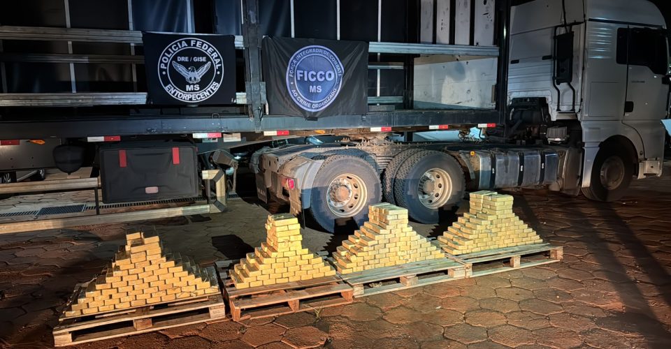 Foto: divulgação/Polícia Civil