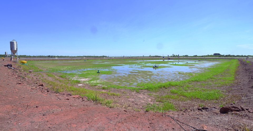 Falta de água afeta o ciclo de produção e tanques que deveriam Meio Ambiente estar cheios, estão vazios - Foto: Nilson Figueiredo