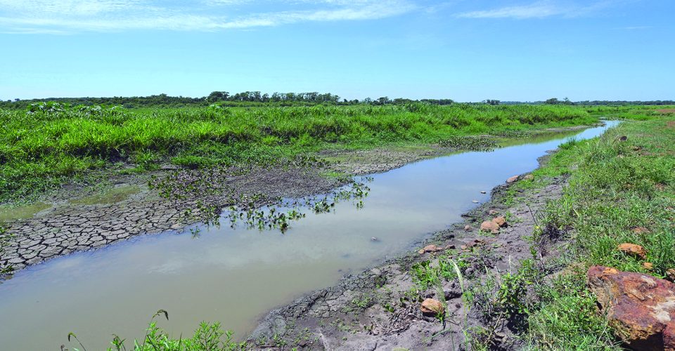 Empresários alertam que trechos do rio estão secos e estiagem prejudica o meio ambiente - Foto: Nilson Figueiredo