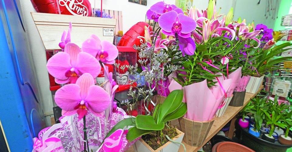 Presentear com flores no Dia das Mães movimenta floriculturas da cidade - Foto: Nilson Figueiredo