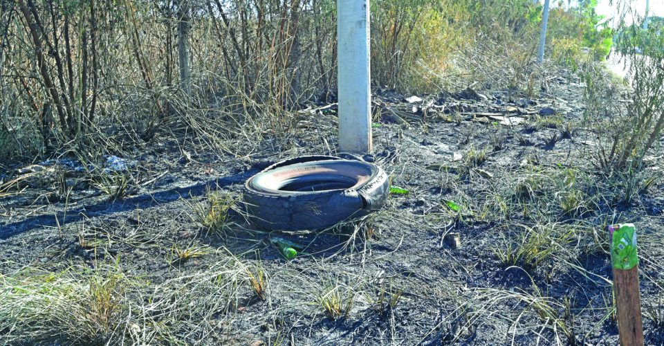 Foto: Nilson Figueiredo