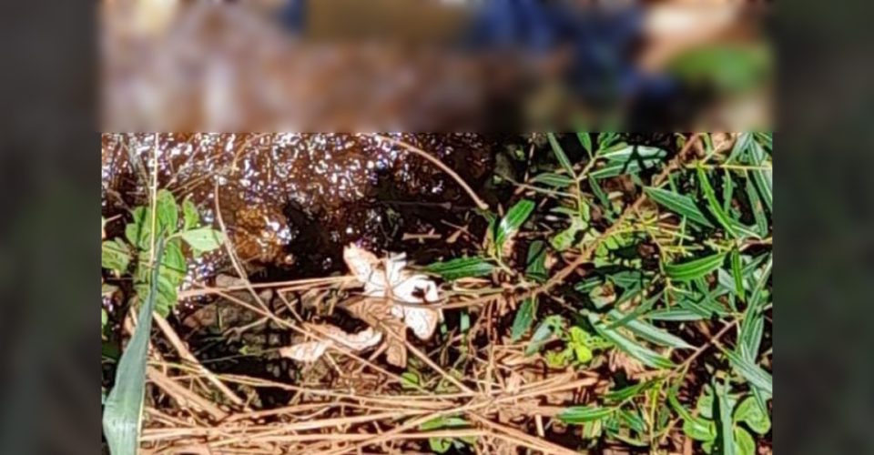 Corpo encontrado na ponte na estrada de acesso ao bairro Vista Alegre
Foto: reprodução Dourados News