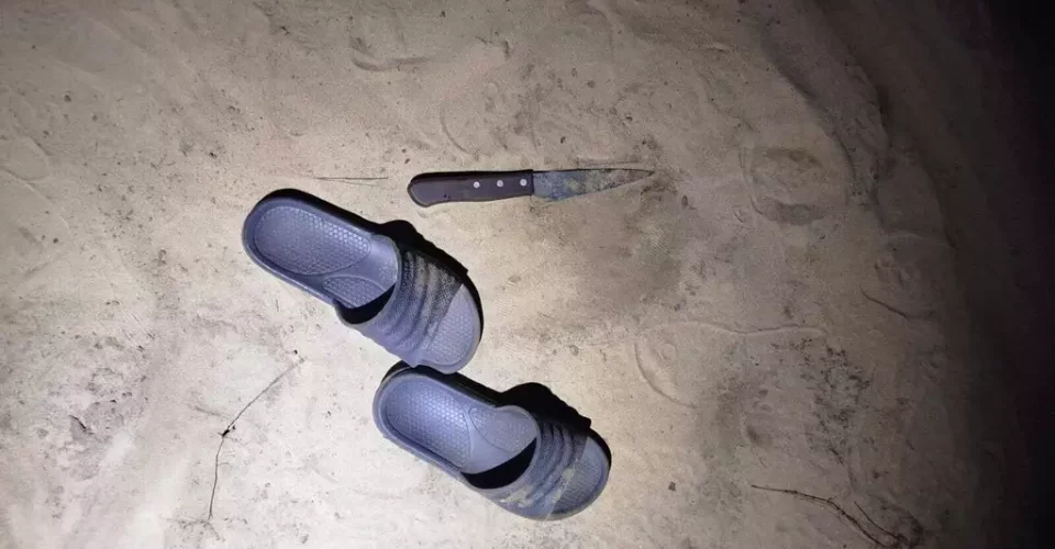 Foto: reprodução/redes sociais