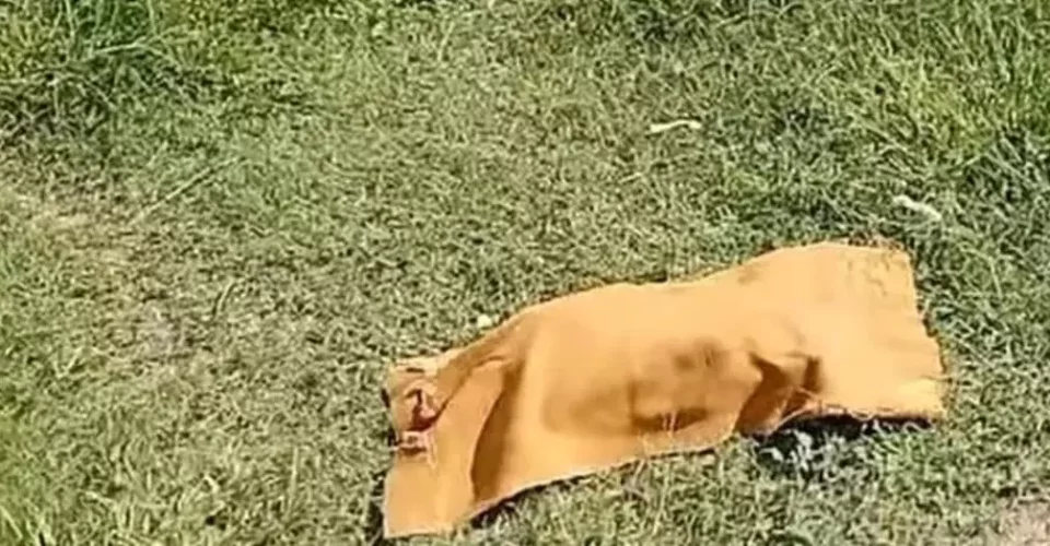 Foto: reprodução/Diário Corumbaense