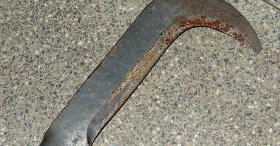 Foto: imagem ilustrativa