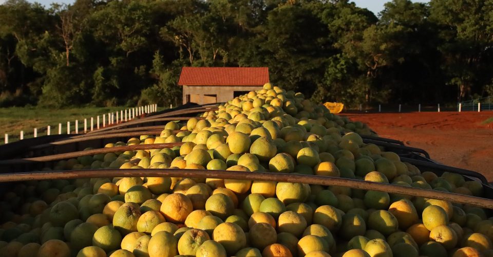 Fotos: Álvaro Rezende