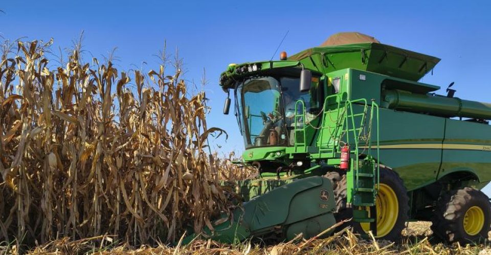 Até a quarta semana de julho, o Estado registra 31,6% da área colhida de milho. Foto: Geizibel Gome