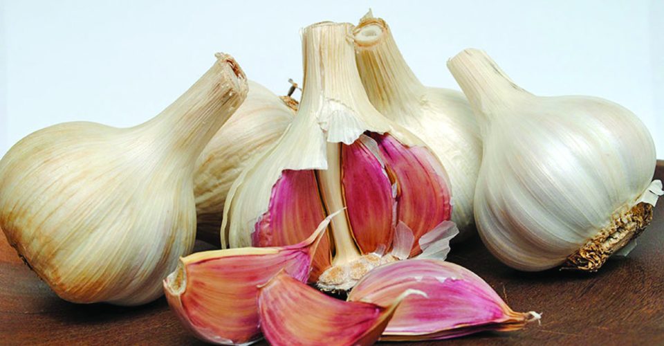 Foto: Paulo_Lanzetta