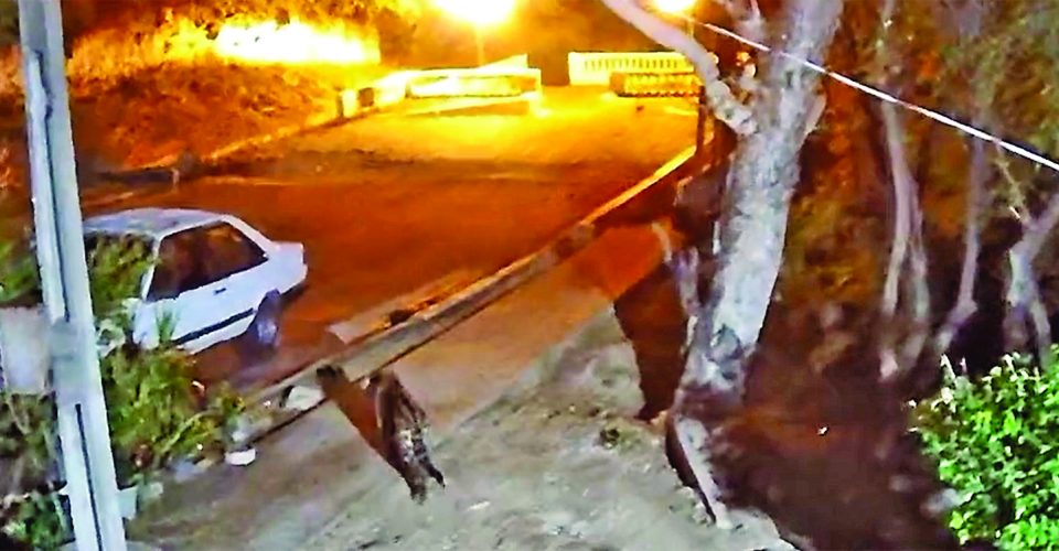 Para monitorar pontos onde felinos já passaram, câmeras foram instaladas - Foto: Reprodução-IHP