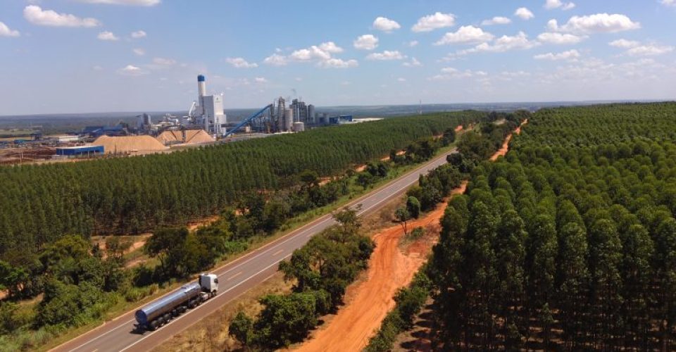 Foto: Álvaro Rezende/Secom
