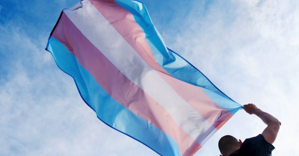 transfobia trans transexuais travestis violencia intolerancia