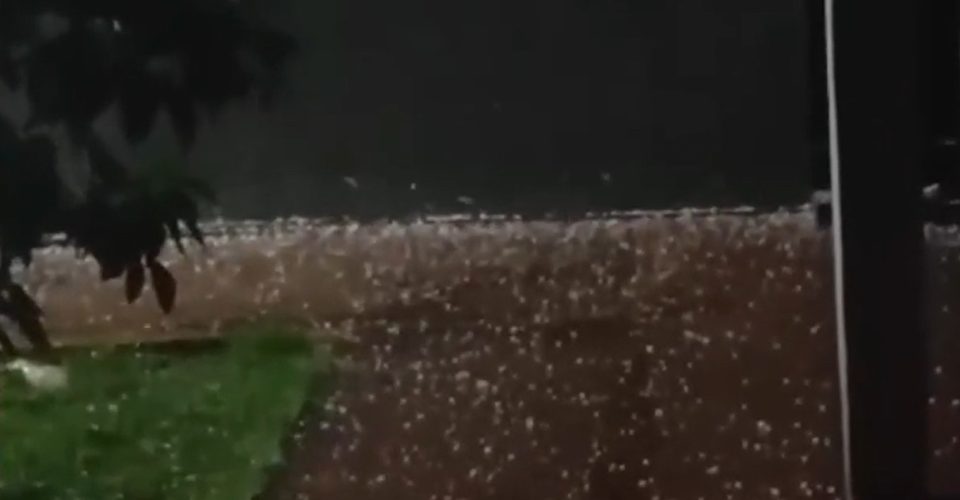 Foto: reprodução/Rio Brilhante Em Tempo Real