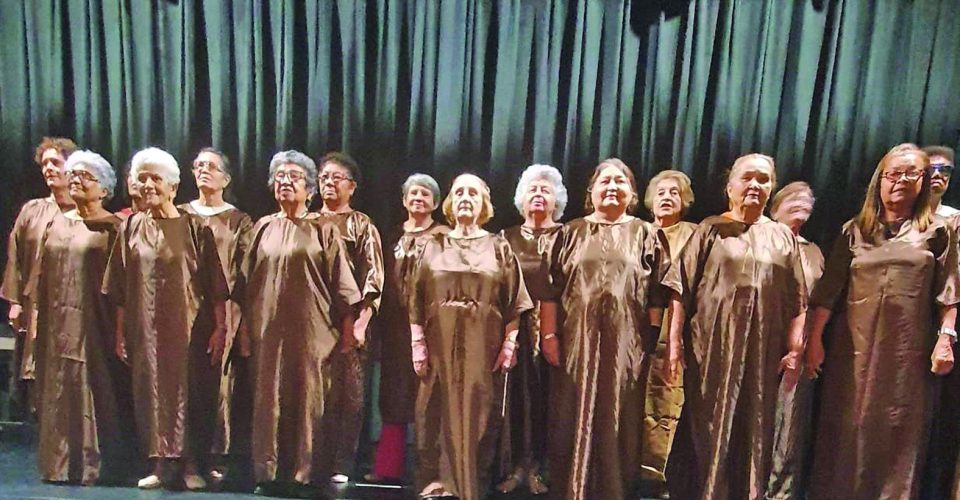 O elenco é formado por participantes do projeto TSPI (Trabalho Social com a Pessoa Idosa) - Foto:  Maice Pereira