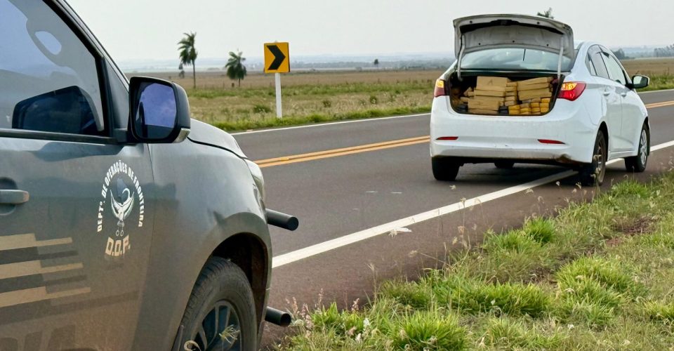 Foto: Divulgação/DOF