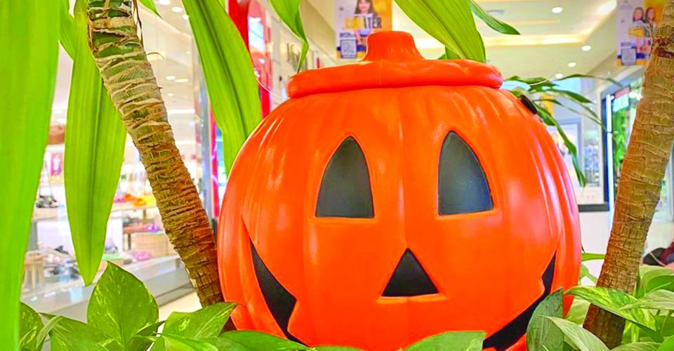 Halloween do Norte e Sul - Foto: divulgação