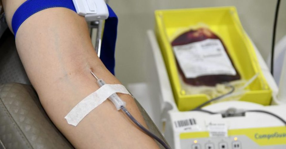 Hemosul-Foto-Bruno-Rezende-06-730x480