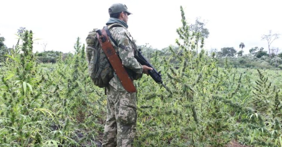 Foto: Reprodução/Ponta Porã News