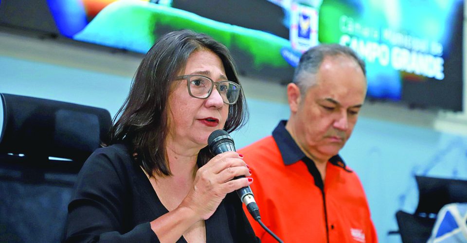 Vereadora Luiza Ribeiro propôs o debate na Câmara para repercutir a falta de vagas - Foto: Divulgação