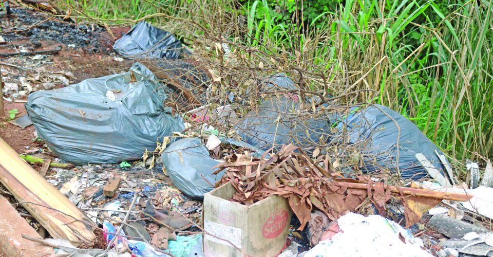 Região da Av. Thyrson de Almeida, no bairro Aero Rancho, virou um "lixão" a céu aberto - 
Foto: Roberta Martins