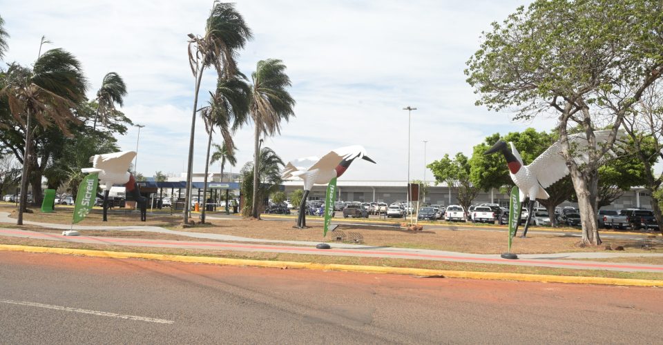 Foto: Nilson Figueiredo