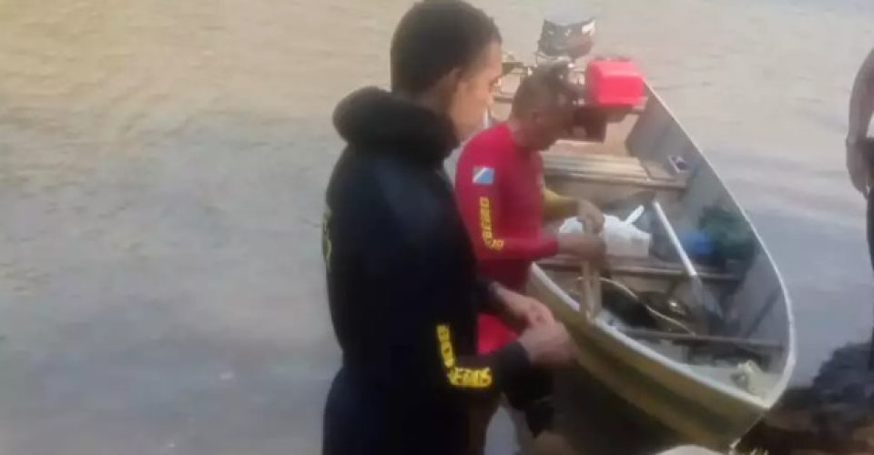 Foto: Jardim MS News