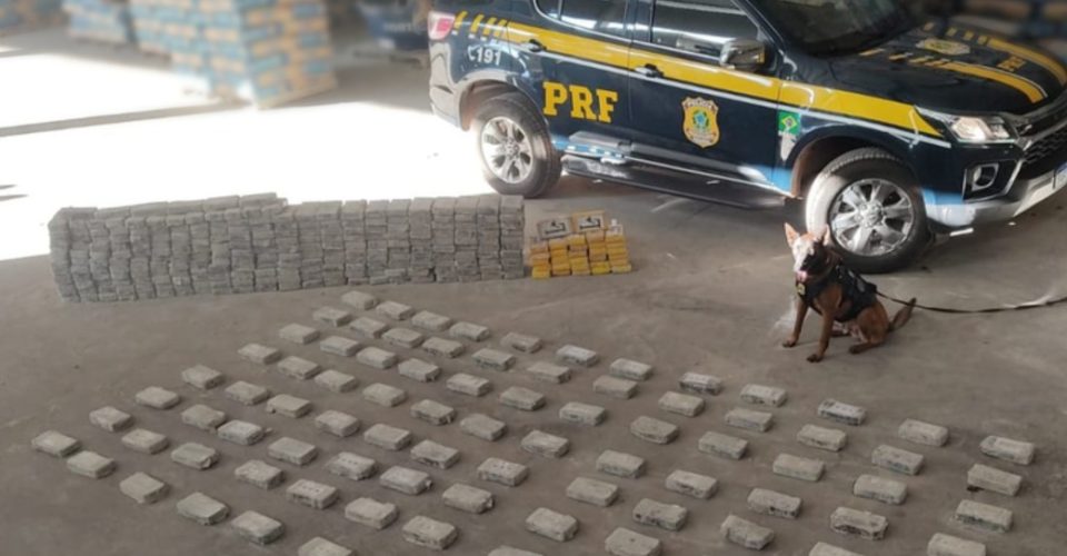 Foto: Reprodução/PRF