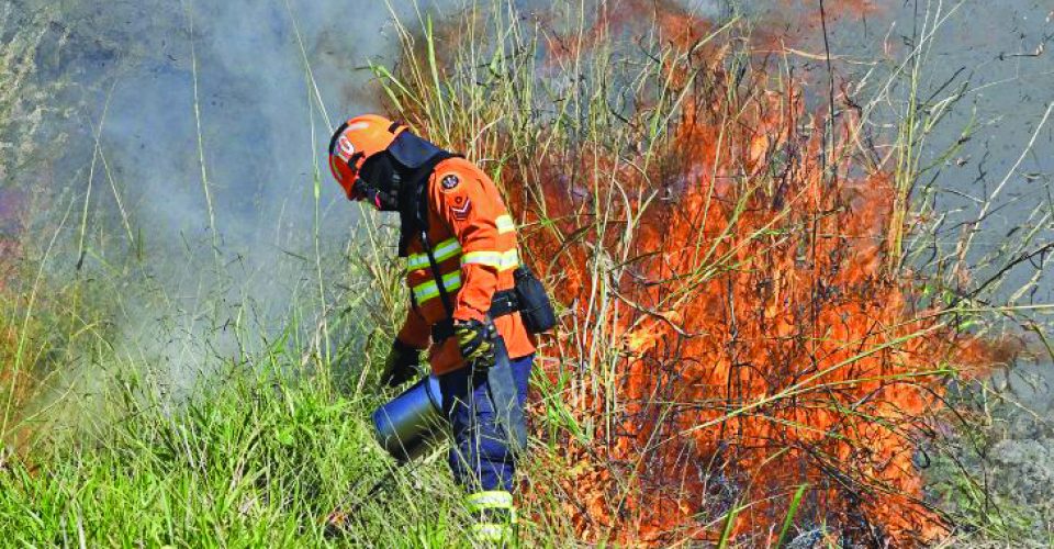 Regulamentação tenta equilibrar a necessidade de manejo com o incentivo à prevenção - Foto: Bruno Rezende/ Governo de MS