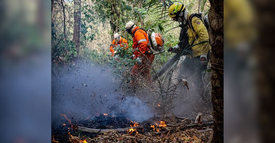 Foto: Edu Clicks/Divulgação/IHP