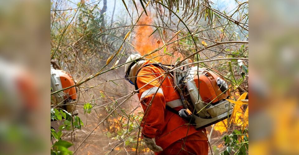 Foto: divulgação/IHP