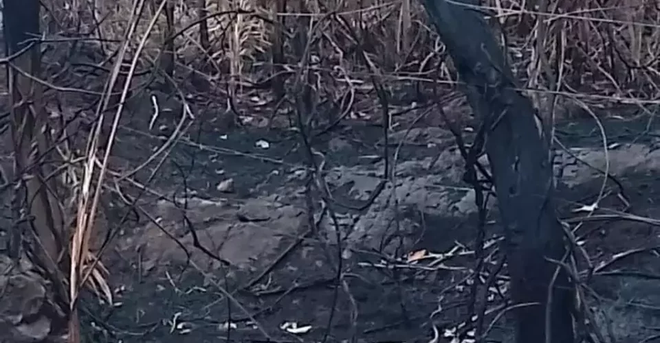 Foto: divulgação/PMA