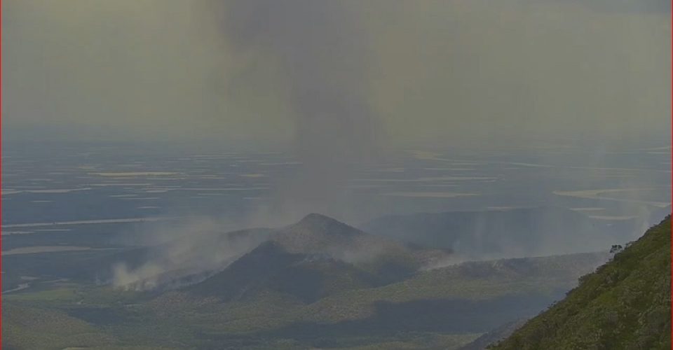 Foto: Divulgação IHP