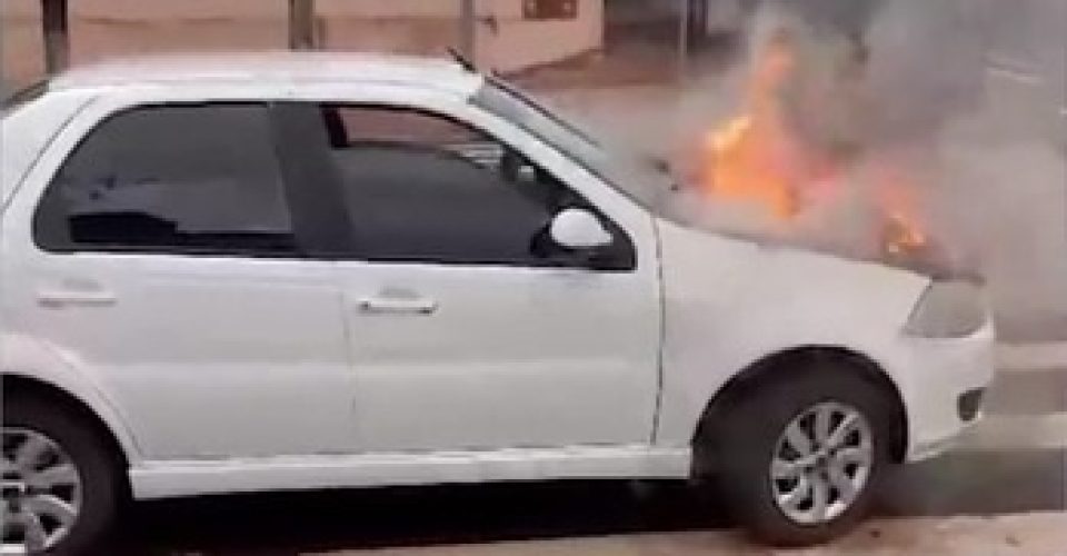 Foto: reprodução/redes sociais