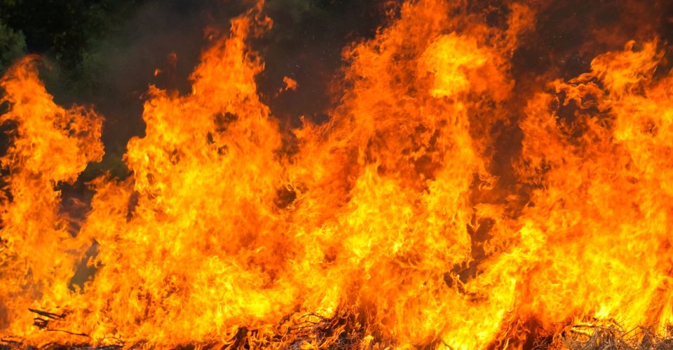 Foto: imagem ilustrativa/Freepik