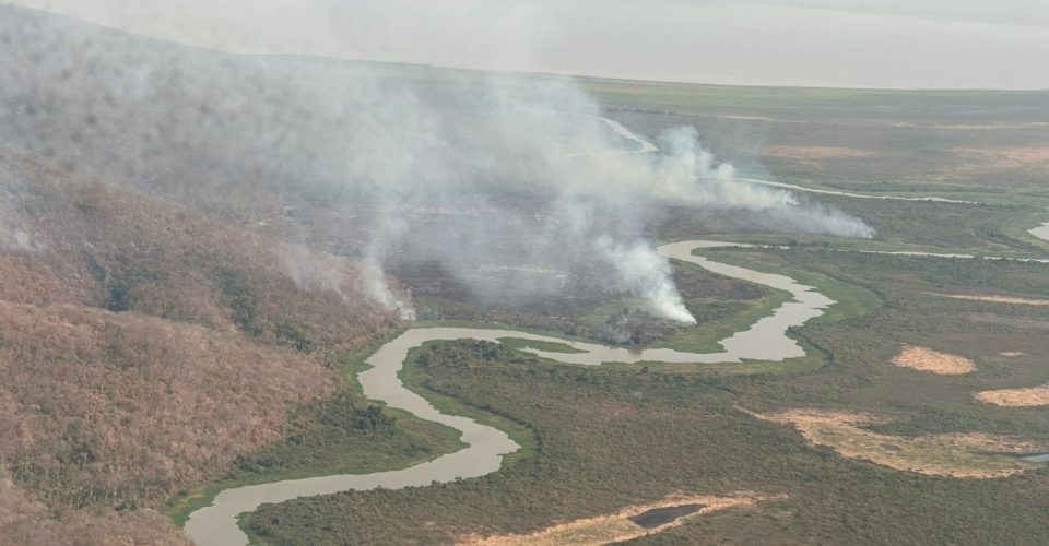 Foto: divulgação/IHP